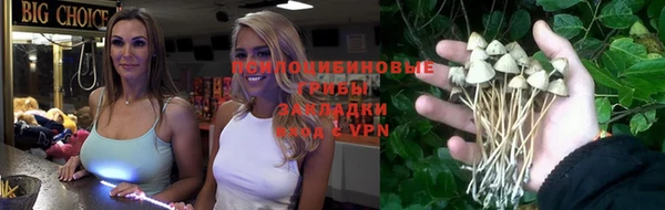 стафф Майский