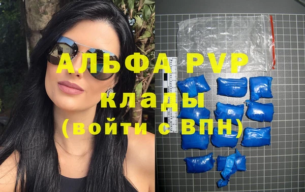 стафф Майский