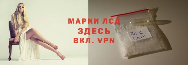 стафф Майский