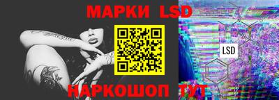 тгк Бийск