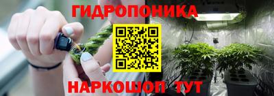 ПСИЛОЦИБИНОВЫЕ ГРИБЫ Беслан