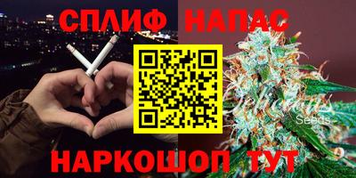 тгк Бийск