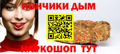 тгк Бийск