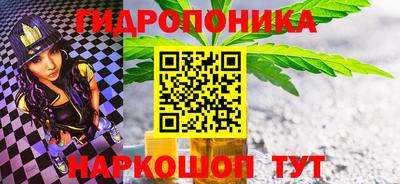 тгк Бийск