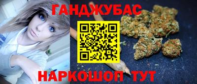 тгк Бийск
