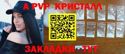 тгк Бийск