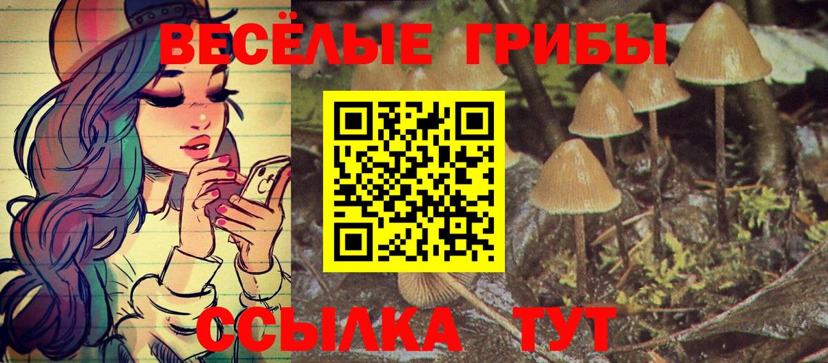 Волжский  Псилоцибиновые грибы MAGIC MUSHROOMS  купить наркотик  Вход с VPN 