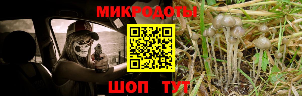 Галлюциногенные грибы ЛСД Волжский