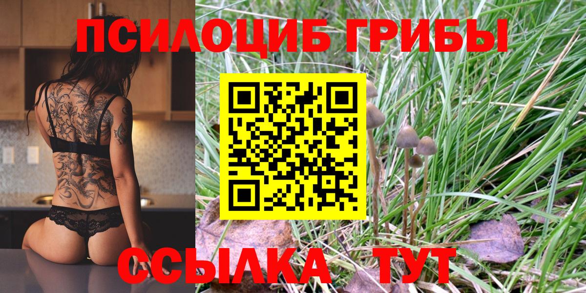 даркнет сайт  Волжский  Псилоцибиновые грибы прущие грибы  Псилоцибиновые грибы Psilocybine cubensis 